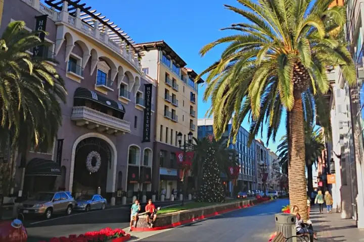 Palm-lined residential street in San Jose, California, a Bodewell appliance repair service area