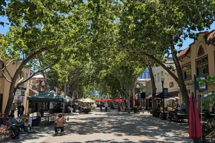 Tree-shaded Murphy Avenue in downtown Sunnyvale, California, covered by Bodewell Appliance Repair